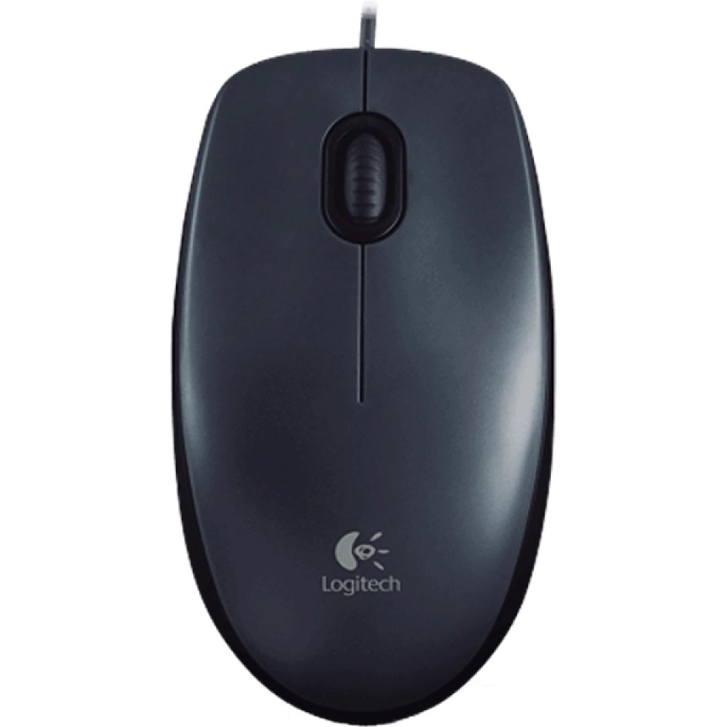 Logitech M100 USB mouse
